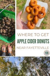 Here's where to get the very best apple cider donuts near Fayetteville and all the info you need on how to plan your family fun day out.