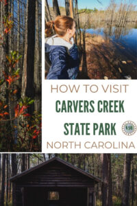 A guide on how to plan a day trip to Carvers Creek State Park which is a family-friendly place to get outdoors near Fort Bragg.