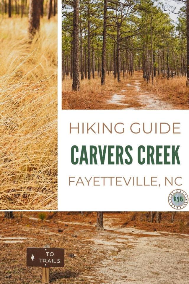 How To Hike The Carvers Creek Sandhills Access Park