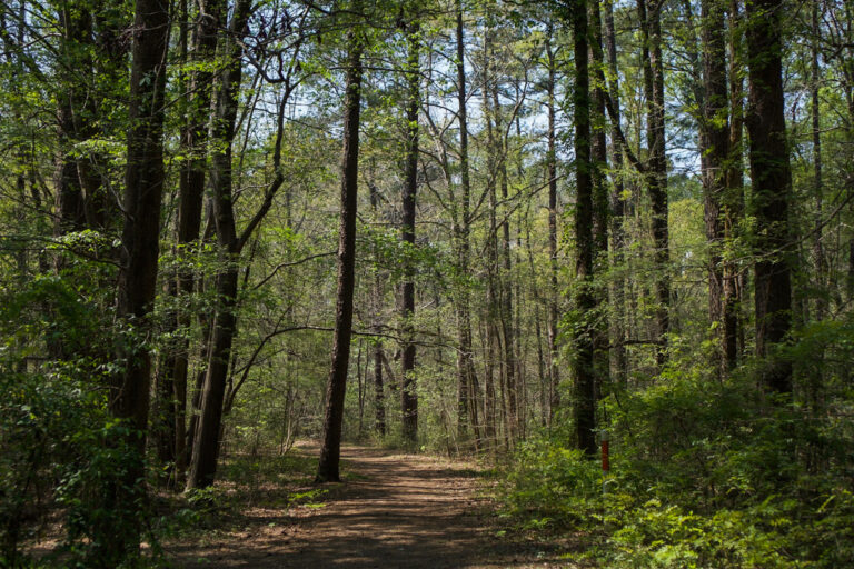 Detailed Guide - How To Visit The Awesome Clark Park, Fayetteville NC