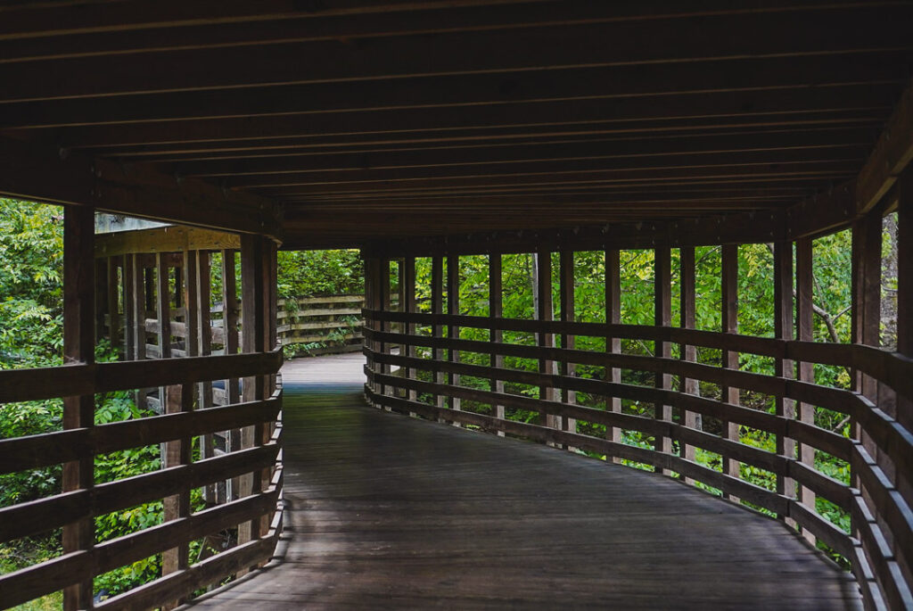 A Detailed Guide For The Cape Fear River Trail In Fayetteville, NC