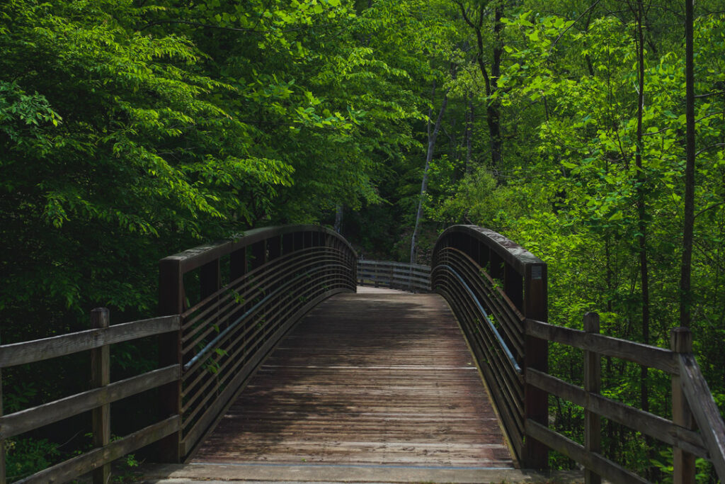 A Detailed Guide For The Cape Fear River Trail In Fayetteville, NC