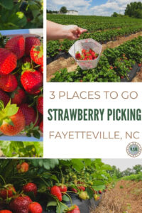 A guide on the best places to go strawberry picking near Fayetteville with prices, tips, and what you need to know to plan your outing.