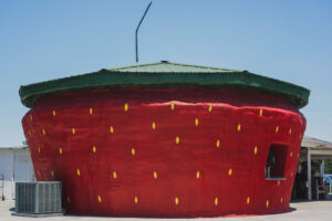 worlds largest strawberry building