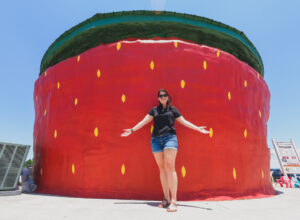 Worlds Largest Strawberry Building