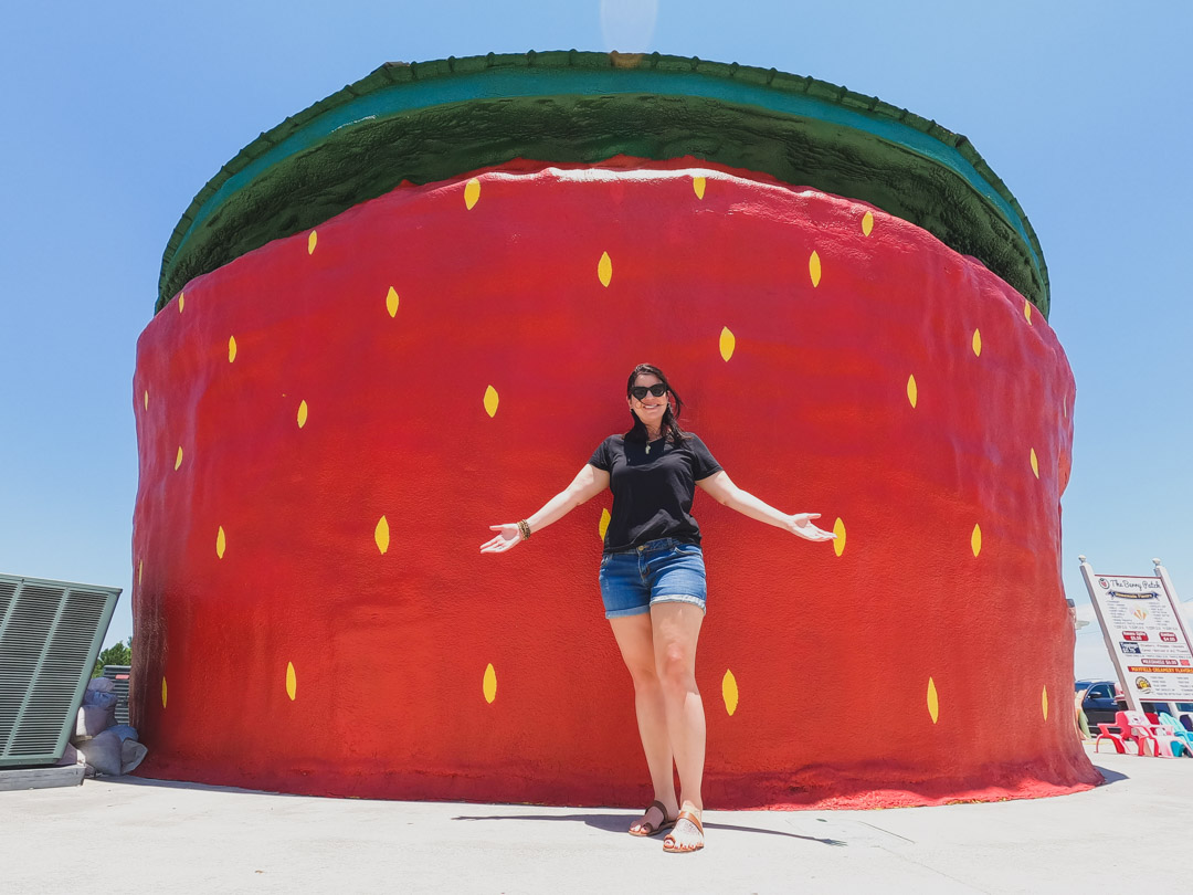 Worlds Largest Strawberry Building