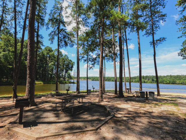 Where To Swim At Jordan Lake, NC - Complete Beach Hopping Guide