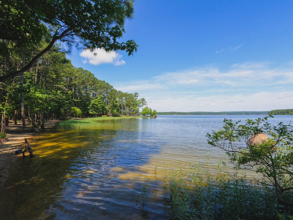 WHERE TO SWIM AT JORDAN LAKE - A Guide To All The Best Beaches!