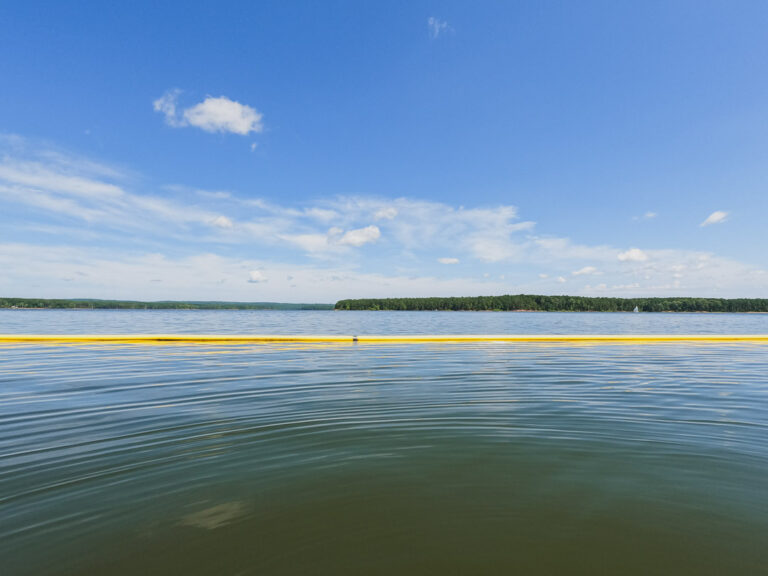 WHERE TO SWIM AT JORDAN LAKE - A Guide To All The Best Beaches!