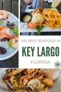 Don't plan your visit without checking out this drool worthy guide of where to find the best seafood restaurants in Key Largo.