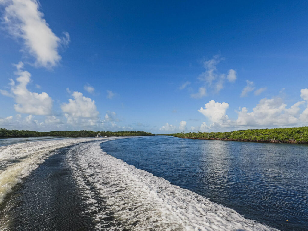 How To Book A Christ Of The Abyss Snorkel Tour (& What To Expect)