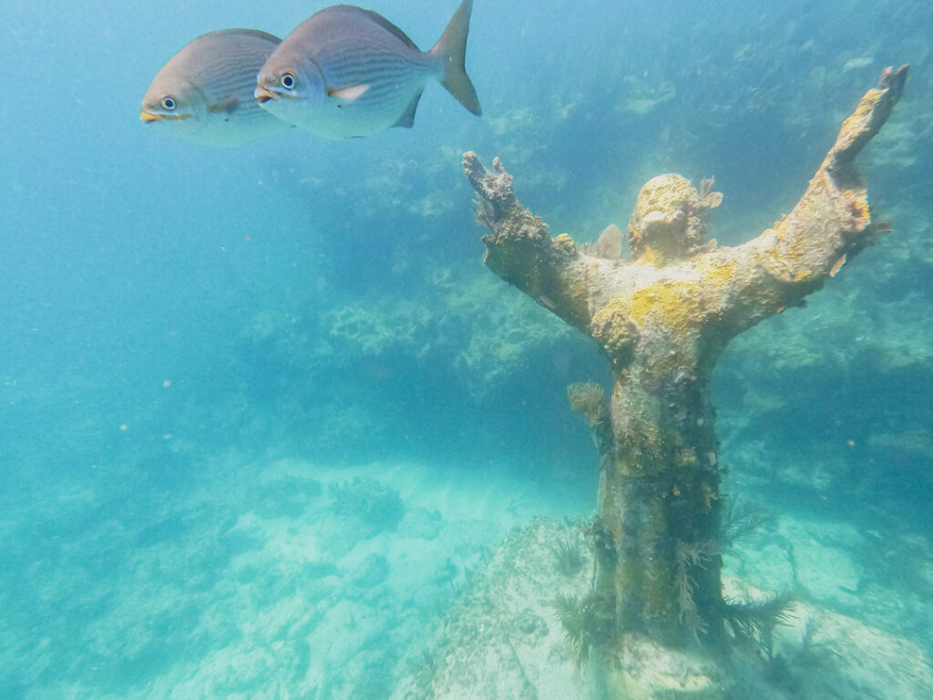 How To Book A Christ Of The Abyss Snorkel Tour (& What To Expect)