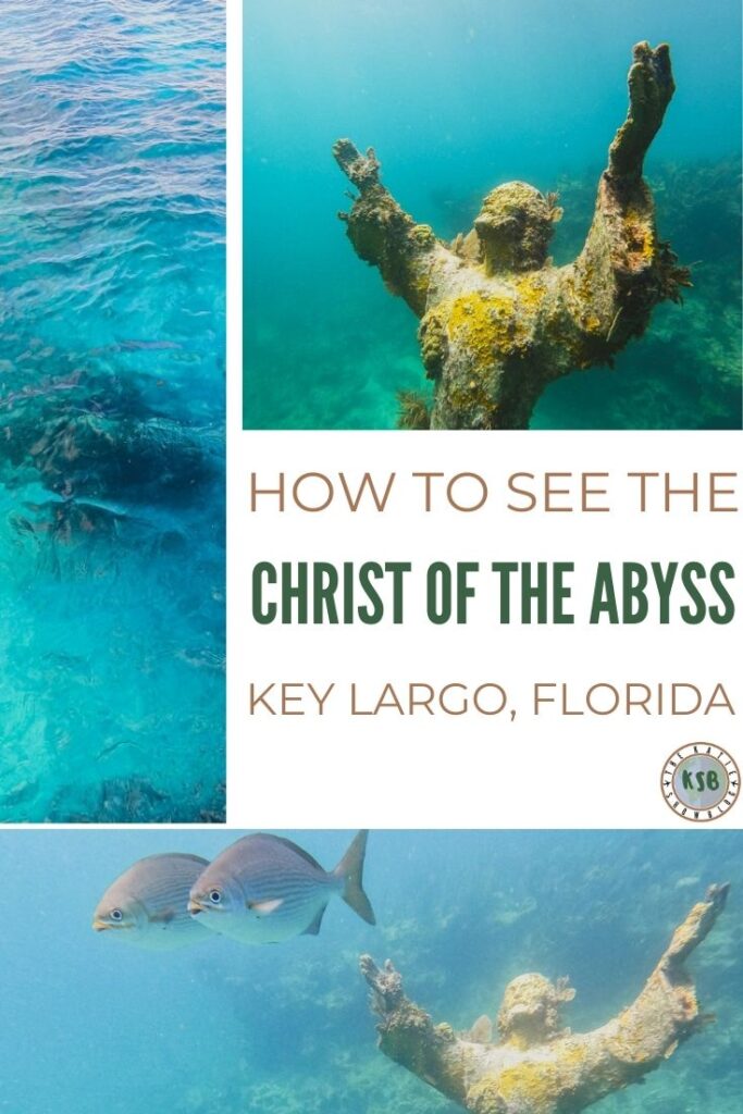 How To Book A Christ Of The Abyss Snorkel Tour (& What To Expect)