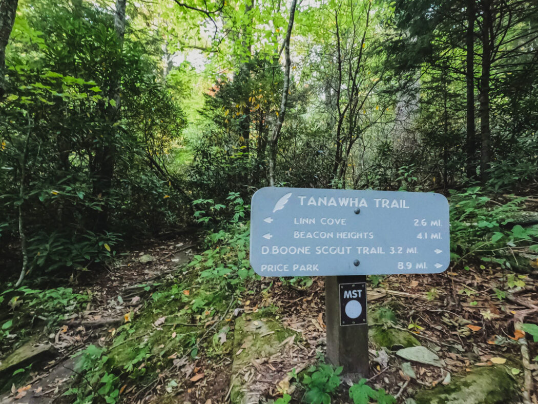 A Detailed Guide For The Popular Rough Ridge Hiking Trail