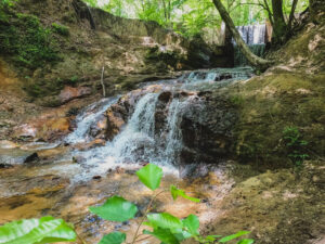 hikes 1 hour from Fayetteville