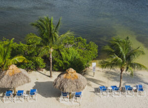 top things to do in Key Largo