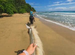 Horse riding tour in Puerto Viejo