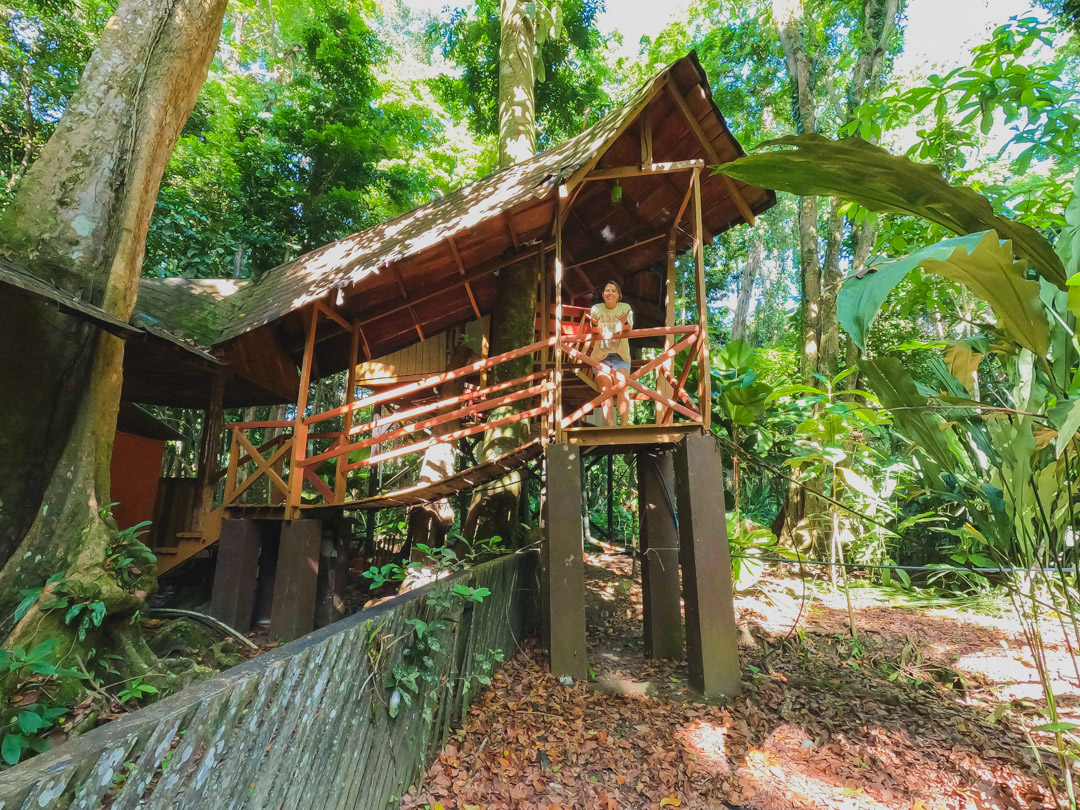 eco-friendly jungle treehouse in Puerto Viejo