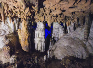 A complete guide with everything you need to know to prepare for an epic day trip to Florida Caverns State Park.