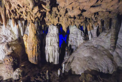 A complete guide with everything you need to know to prepare for an epic day trip to Florida Caverns State Park.