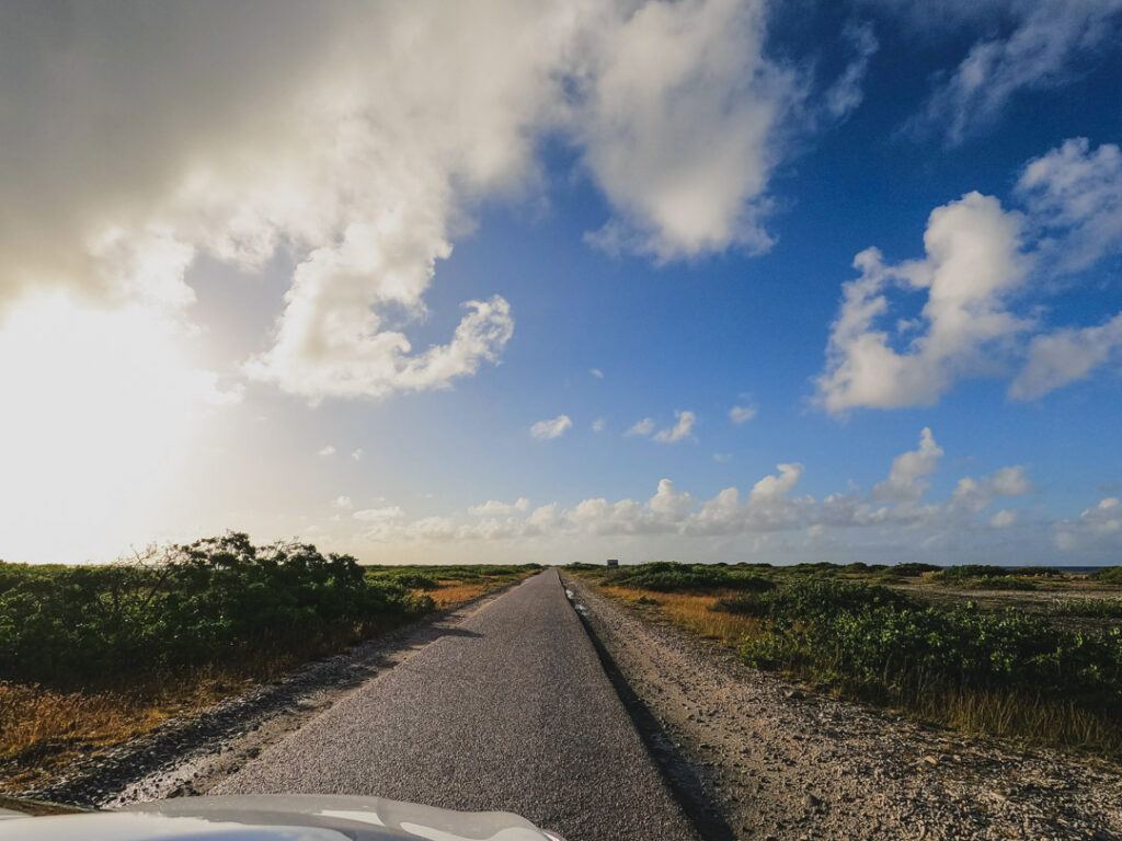 How To Plan A Vacation To Bonaire - Here's Everything You Need To Know